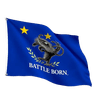 NV